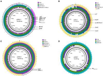 Co-occurrence of OXA-232, RmtF-encoding plasmids, and pLVPK-like virulence plasmid contributed to the generation of ST15-KL112 hypervirulent multidrug-resistant Klebsiella pneumoniae